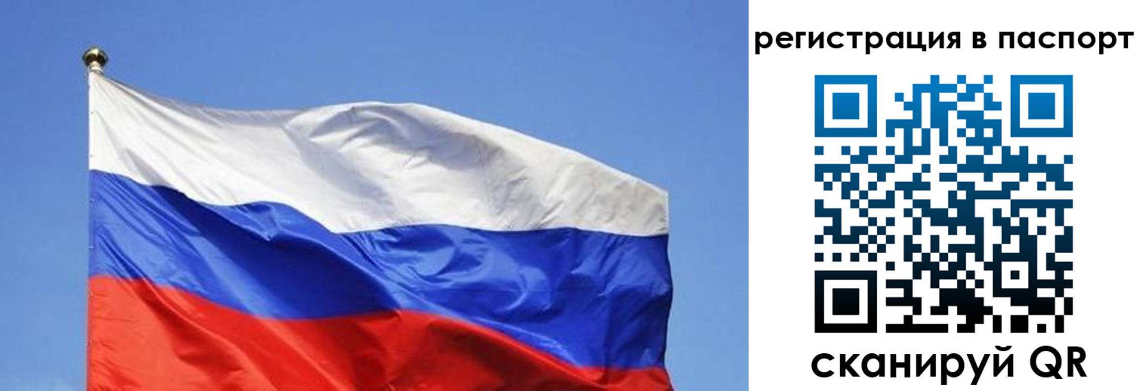 прописка в квартире в Шелехове